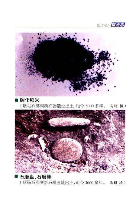 《临沧地区粮油志》.pdf_云南省志预览图5