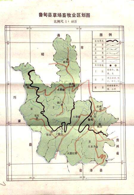 《鲁甸县畜牧志》.pdf_云南省志预览图2