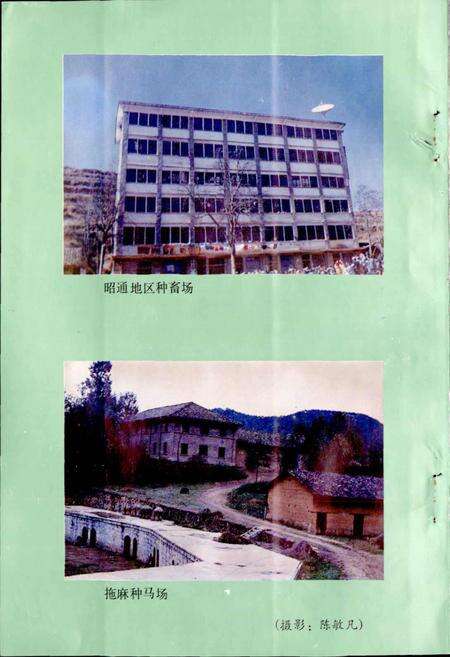 《鲁甸县畜牧志》.pdf_云南省志预览图4