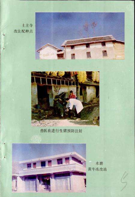 《鲁甸县畜牧志》.pdf_云南省志预览图5
