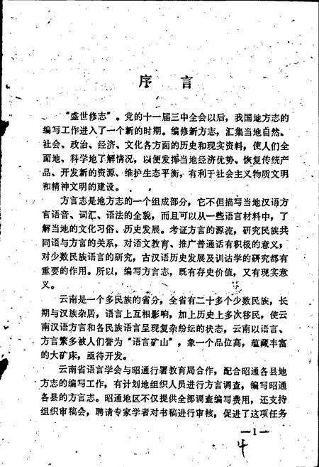 《永善方言志》.pdf_云南省志预览图3