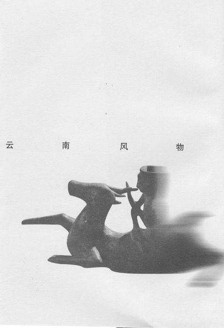 《新编昭通风物志》.pdf_云南省志预览图1