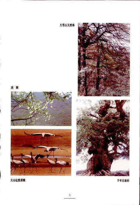 《新编昭通风物志》.pdf_云南省志预览图5