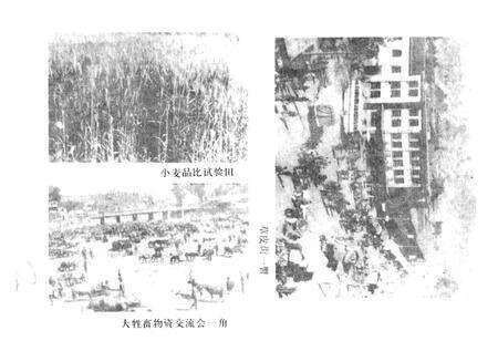 《爱华镇志》.pdf_云南省志预览图2