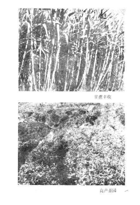 《爱华镇志》.pdf_云南省志预览图4