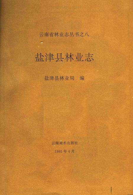 《盐津县林业志》.pdf_云南省志预览图1
