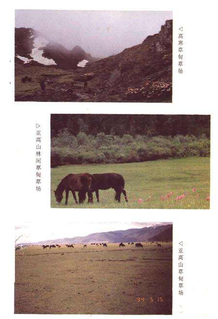 《中甸县畜牧志》.pdf_云南省志预览图2