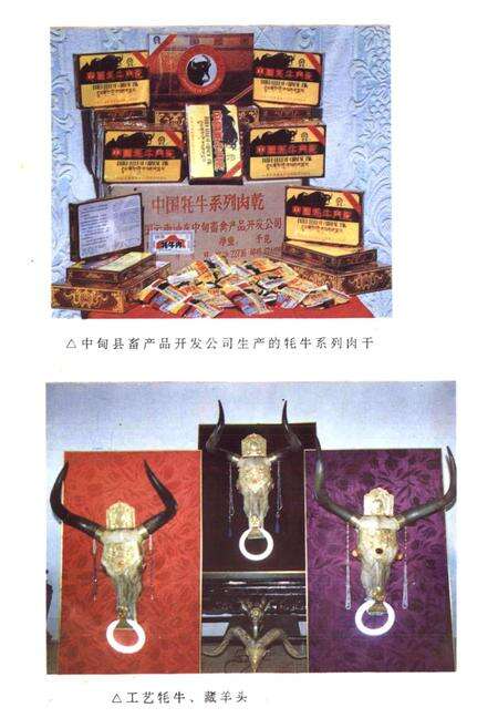 《中甸县畜牧志》.pdf_云南省志预览图5