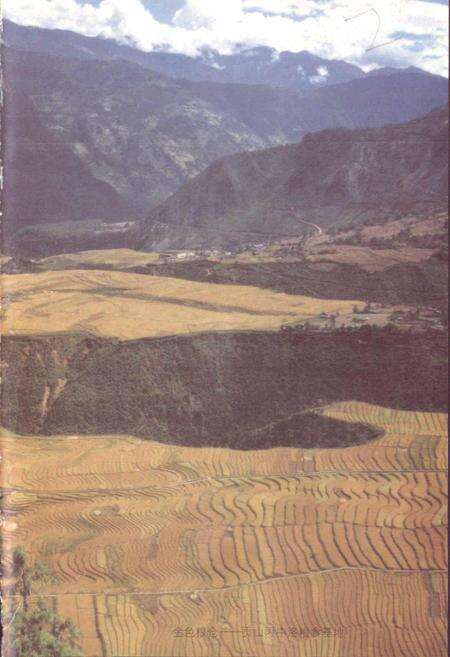 《怒江州农牧志》.pdf_云南省志预览图3