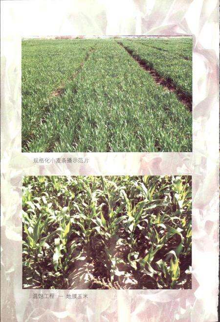《怒江州农牧志》.pdf_云南省志预览图4