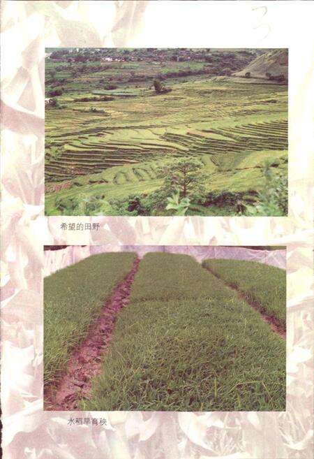 《怒江州农牧志》.pdf_云南省志预览图5
