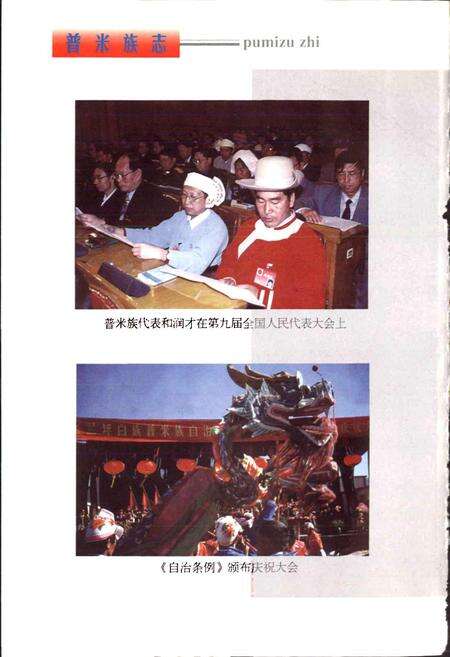 《兰坪白族普米族自治县地方志 普米族志》.pdf_云南省志预览图4