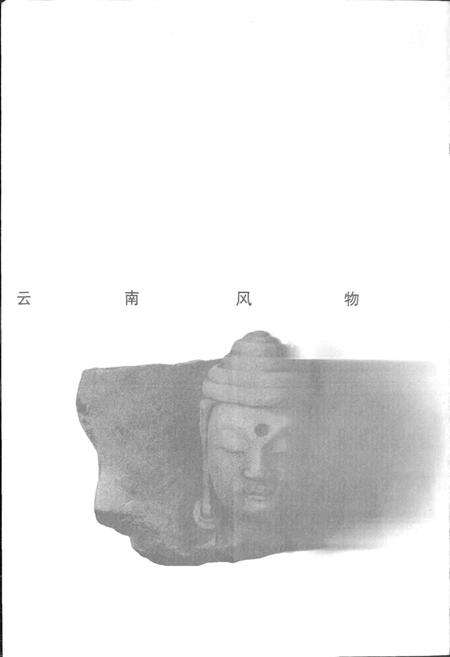 《新编大理风物志》.pdf_云南省志预览图1