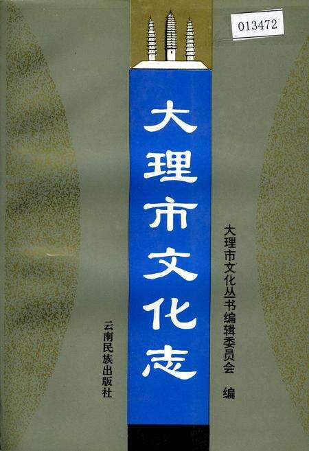 《大理市文化志》.pdf_云南省志缩略图