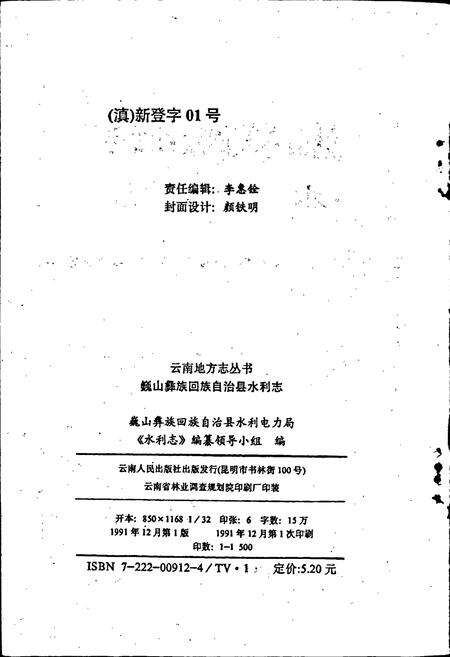 《巍山彝族回族自治县水利志》.pdf_云南省志预览图2