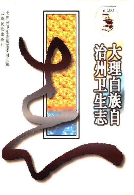 《大理白族自治州卫生志》.pdf_云南省志缩略图