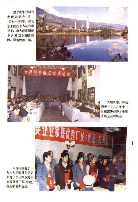 《大理白族自治州城乡集体企业志》.pdf_云南省志预览图3