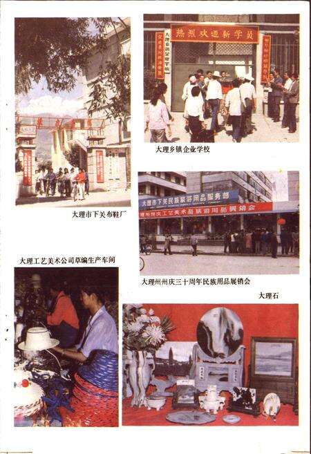 《大理白族自治州城乡集体企业志》.pdf_云南省志预览图4