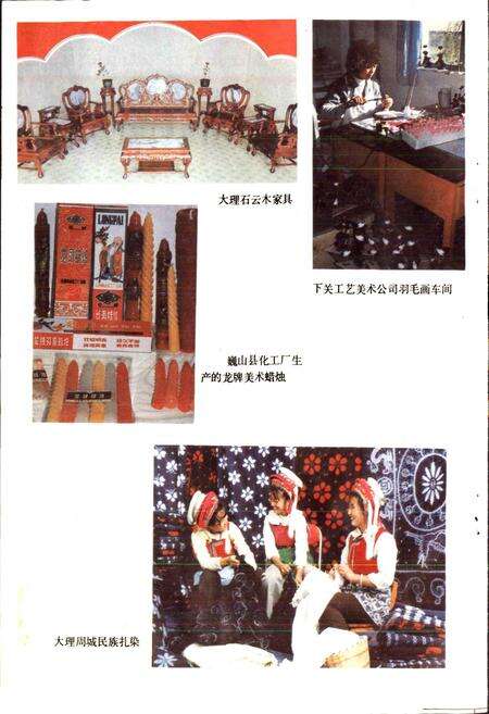 《大理白族自治州城乡集体企业志》.pdf_云南省志预览图5