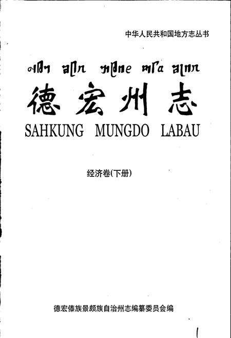《德宏州志 经济卷 下册》.pdf_云南省志预览图1