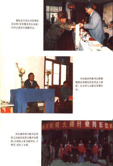 《迪庆藏族自治州商业志》.pdf_云南省志预览图3