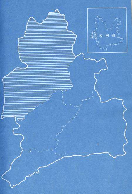 《盈江县林业志》.pdf_云南省志预览图3