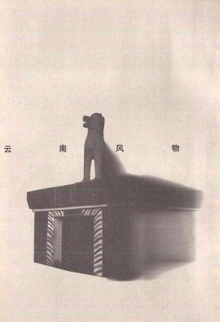 《新编西双版纳风物志》.pdf_云南省志预览图2