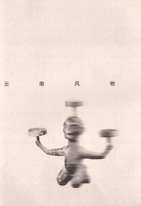 《新编红河风物志》.pdf_云南省志预览图2