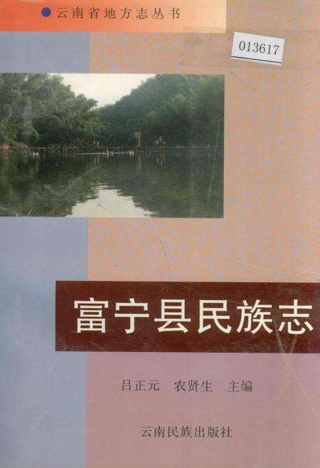 《富宁县民族志》.pdf_云南省志缩略图