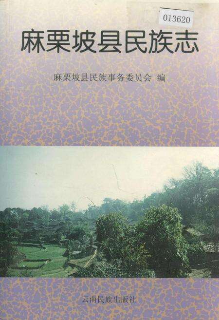 《麻栗坡县民族志》.pdf_云南省志缩略图