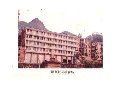 《麻栗坡县粮油志》.pdf_云南省志预览图2