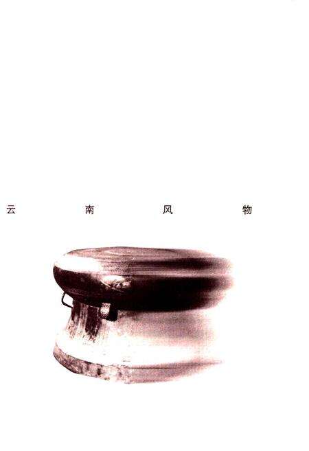 《新编文山风物志》.pdf_云南省志预览图2