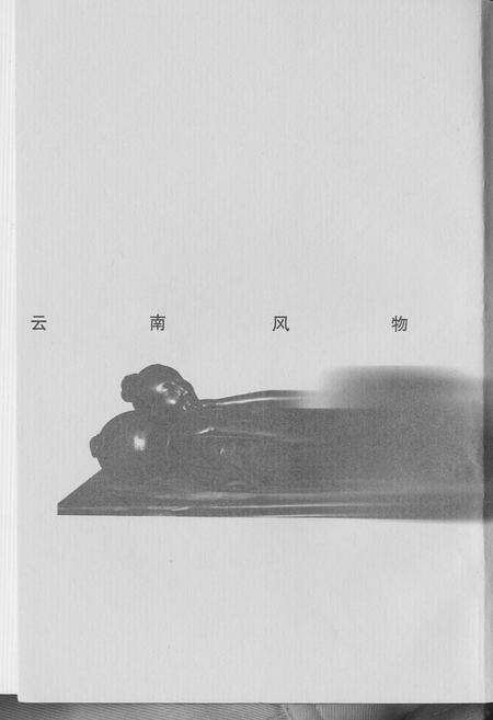 《新编楚雄风物志》.pdf_云南省志预览图1