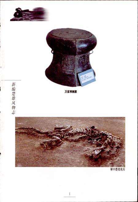 《新编楚雄风物志》.pdf_云南省志预览图3