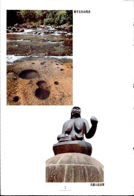 《新编楚雄风物志》.pdf_云南省志预览图4