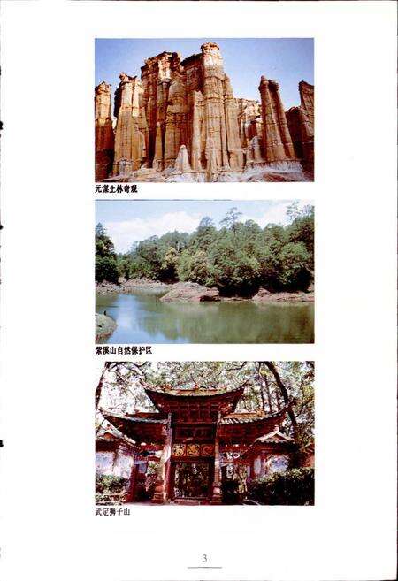 《新编楚雄风物志》.pdf_云南省志预览图5