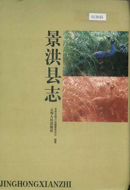 《景洪县志》.pdf_云南省志缩略图