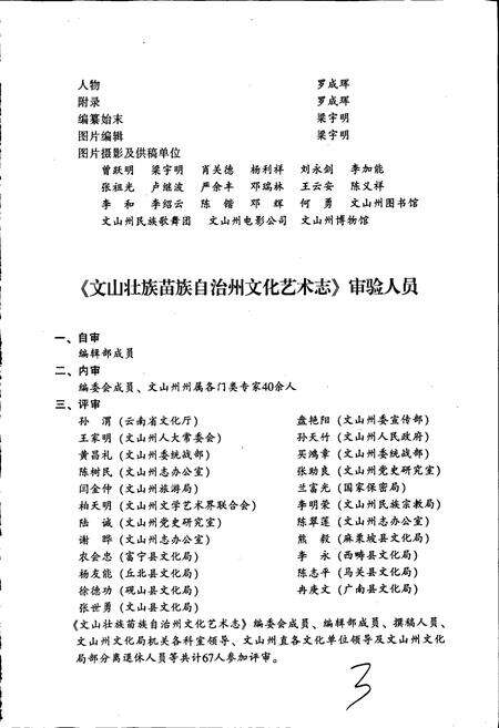 《文山壮族苗族自治州文化艺术志》.pdf_云南省志预览图5
