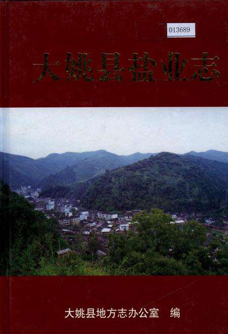 《大姚县盐业志》.pdf_云南省志缩略图