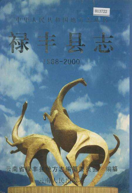 《禄丰县志》.pdf_云南省志缩略图
