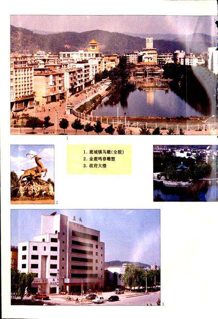 《鹿城志》.pdf_云南省志预览图5
