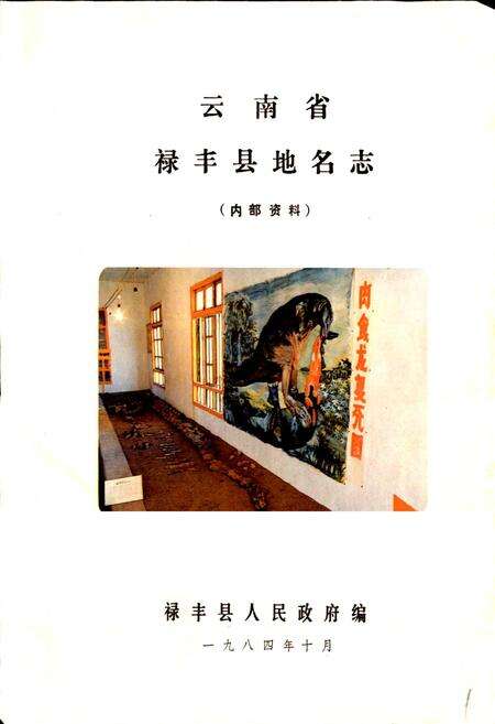《云南省禄丰县地名志》.pdf_云南省志预览图1