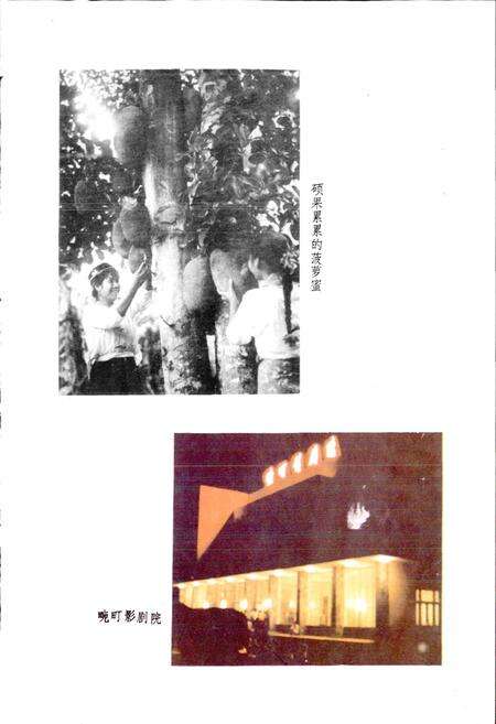 《云南省畹町市地名志》.pdf_云南省志预览图3