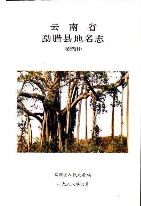 《云南省勐腊县地名志》.pdf_云南省志预览图1