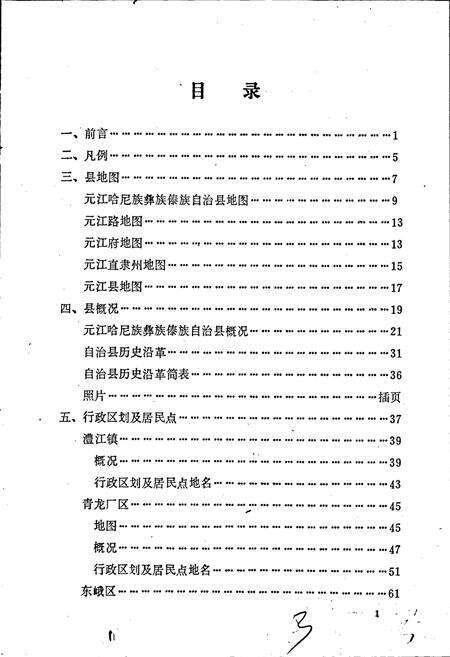 《云南省元江哈尼族彝族傣族自治县地名志》.pdf_云南省志预览图3