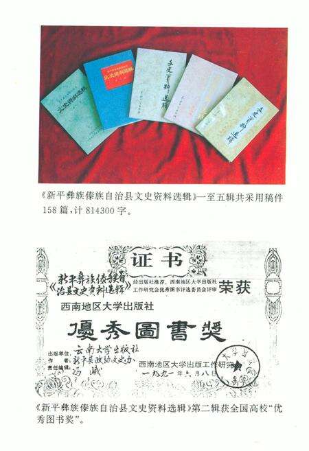 《政协新平彝族傣族自治县志》.pdf_云南省志预览图3