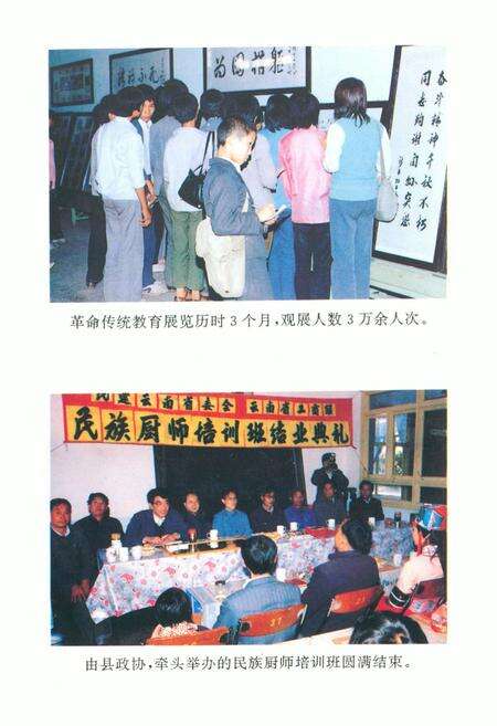 《政协新平彝族傣族自治县志》.pdf_云南省志预览图4