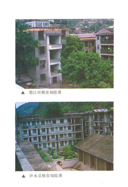 《怒江粮油志》.pdf_云南省志预览图4
