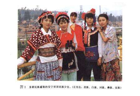 《安宁县民族宗教志》.pdf_云南省志预览图5