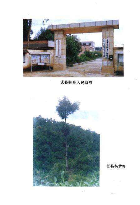 《县街乡志》.pdf_云南省志预览图4